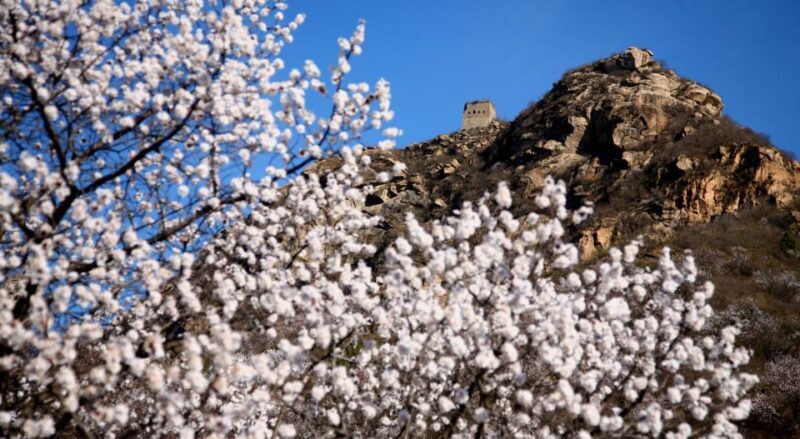 Mini Group Tour Of Beijing Great Wall Including Hotel Pickup - FAQ