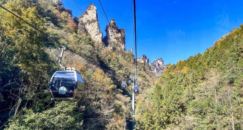 Mini Group Tour: Zhangjiajie Forest Park & Avatar Mountains - What the Reviews Say