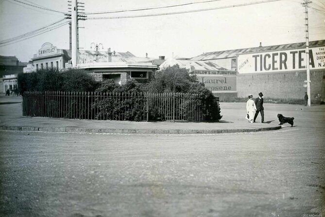 Minibus Tales of True Crime in Victorian Dunedin - Key Points