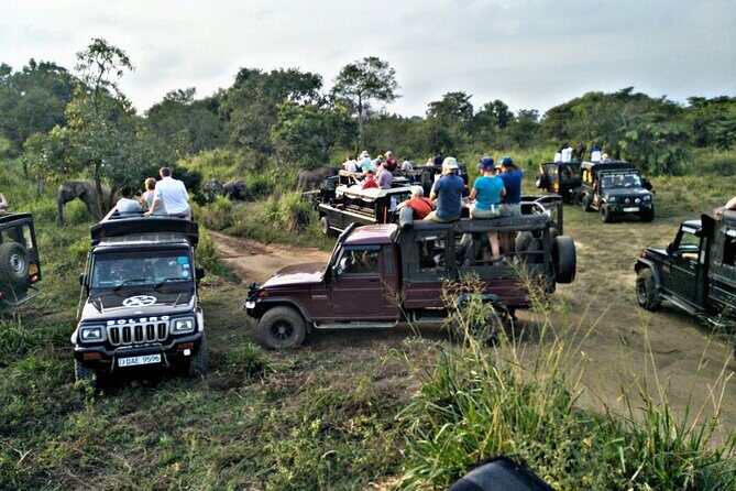 Minneriya / Kaudulla National Park Jeep Safari - Who Should Book This Tour?