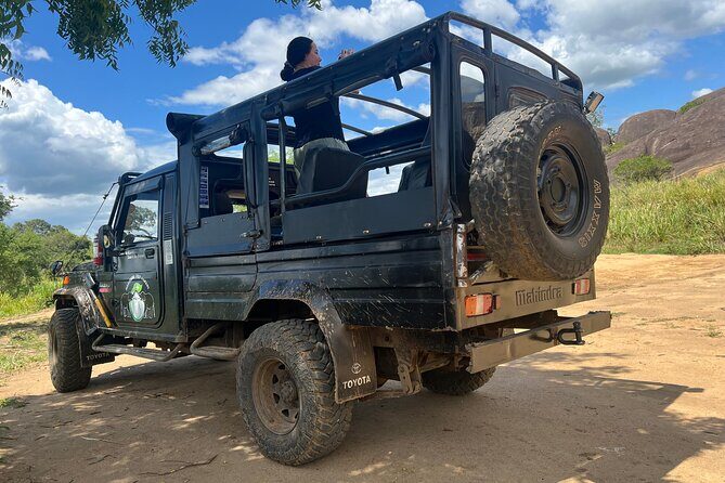 Minneriya National Park Elephant Safari from Sigiriya - The Value: How Well Does It Match the Cost?