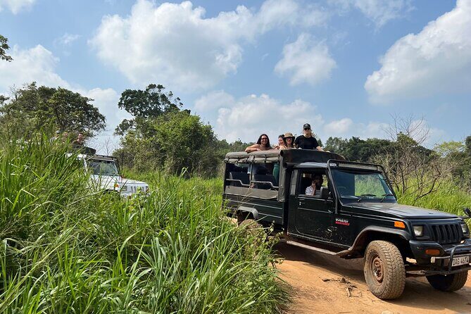 Minneriya National Park Elephant Safari from Sigiriya - FAQ