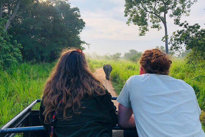 Minneriya National park half day private safari in Sri Lanka - FAQ