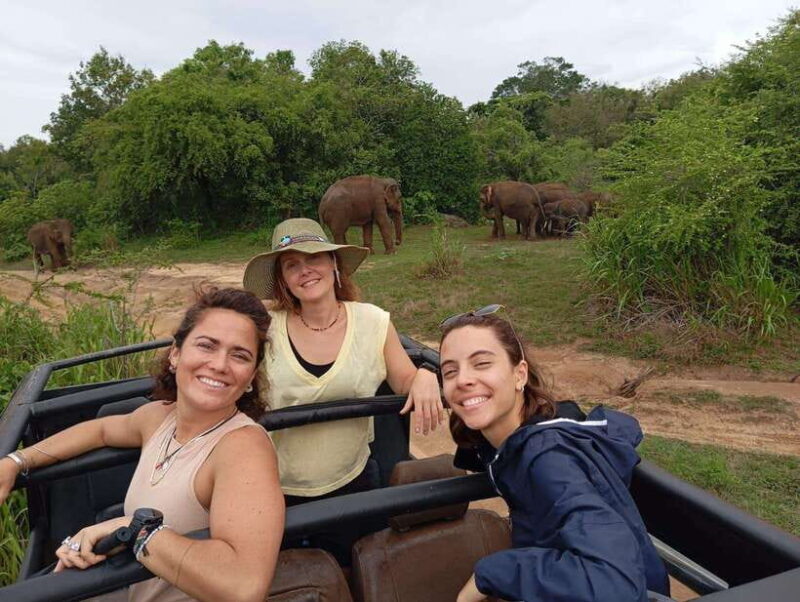 Minneriya National Park: Half-Day Safari Morning or Evening - Is It Worth It?