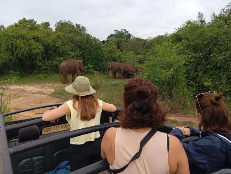 Minneriya National Park: Half-Day Safari Morning or Evening - FAQ