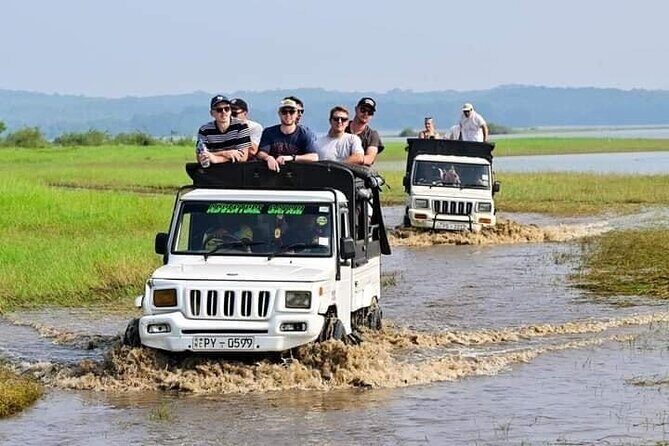 Minneriya National Park halfday Safari - The Review Spectrum: What Travelers Say