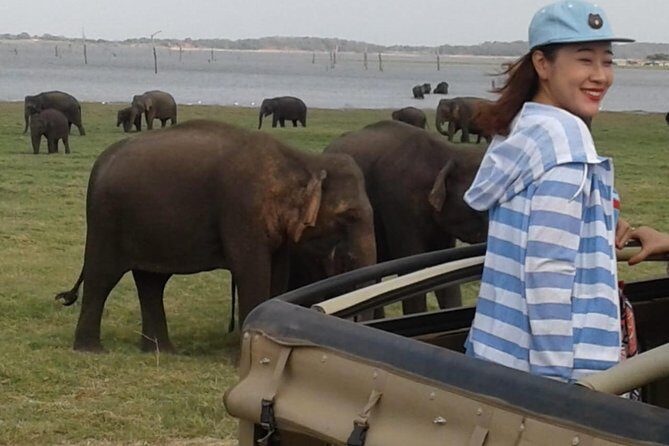 Minneriya National Park private safari - Who Should Consider This Safari?