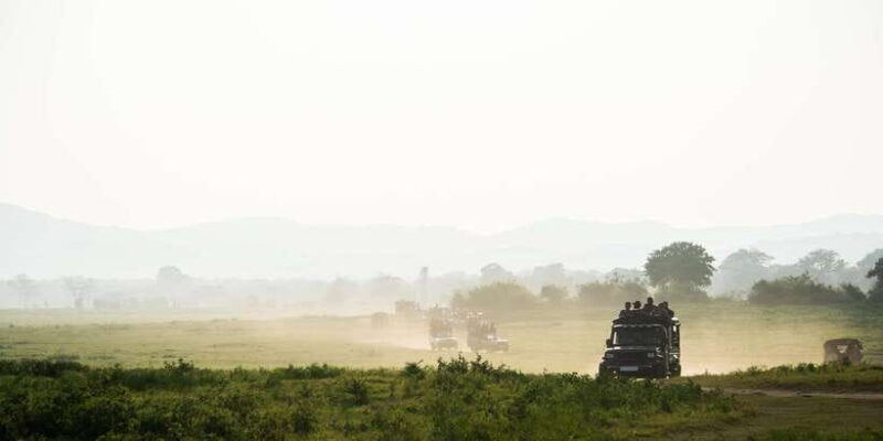 Minneriya National Park Safari by a 4x4 - Key Points
