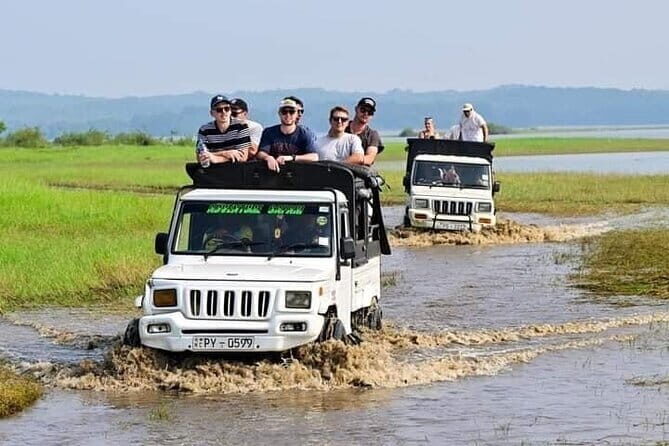 Minneriya National Park Safari from Habarana - Practical Details and Tips