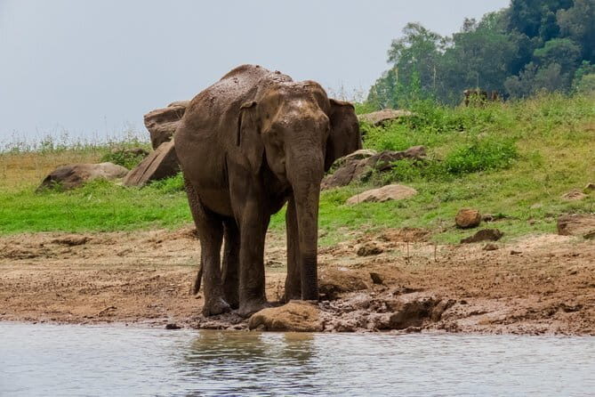 Minneriya National Park Safari from Polonnaruwa - Key Points