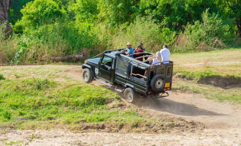 Minneriya National Park Safari from Sigiriya (Private Group) - Final Thoughts: Is It Worth It?