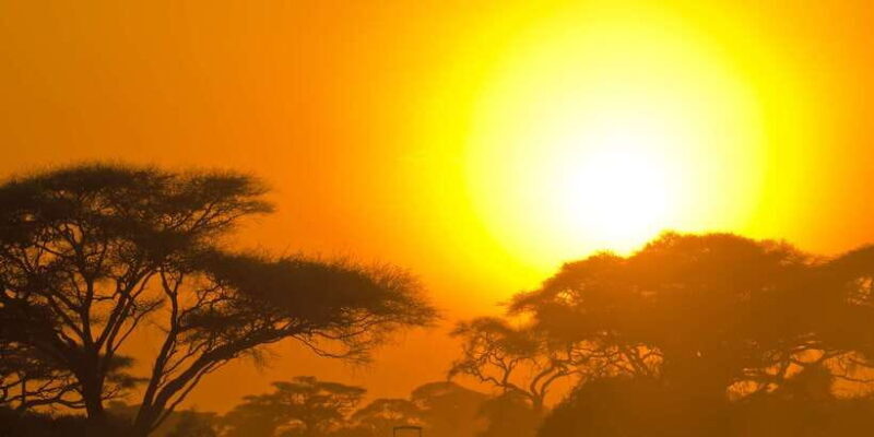 Minneriya National Park Safari in a 4x4 Vehicle - An In-Depth Look at the Safari Experience