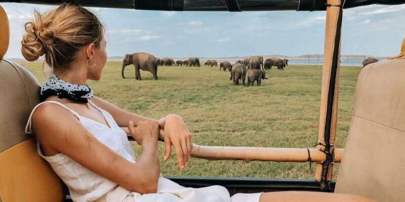 Minneriya National Park Safari in a 4x4 Vehicle - Final Thoughts: Is It Worth It?