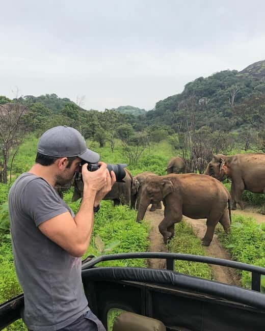 Minneriya National Park Safari  See Wild Elephants Up Close - What to Expect from the Minneriya Safari
