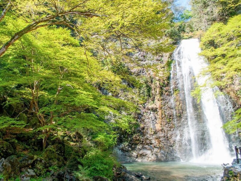 Minoo Park: Guided Nature Walk - Exploring Minoo Park: What Travelers Can Expect