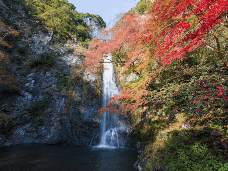 Minoo Park: Guided Nature Walk - Final Thoughts