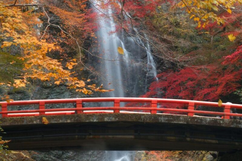 Minoo Park Private Tour: Nature, Temples, and Coffee Bliss - Exploring Minoo Park: A Natural Retreat Close to Osaka
