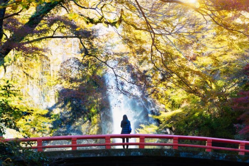 Minoo Park Private Tour: Nature, Temples, and Coffee Bliss - Coffee and Snacks at Yamamoto Coffee-kan