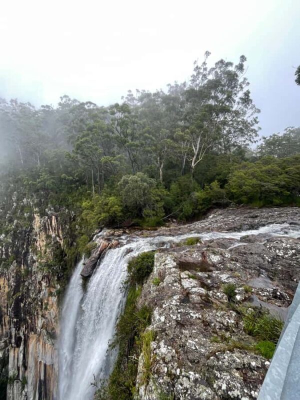 Minyon Waterfall Rainforest Tour - Key Points