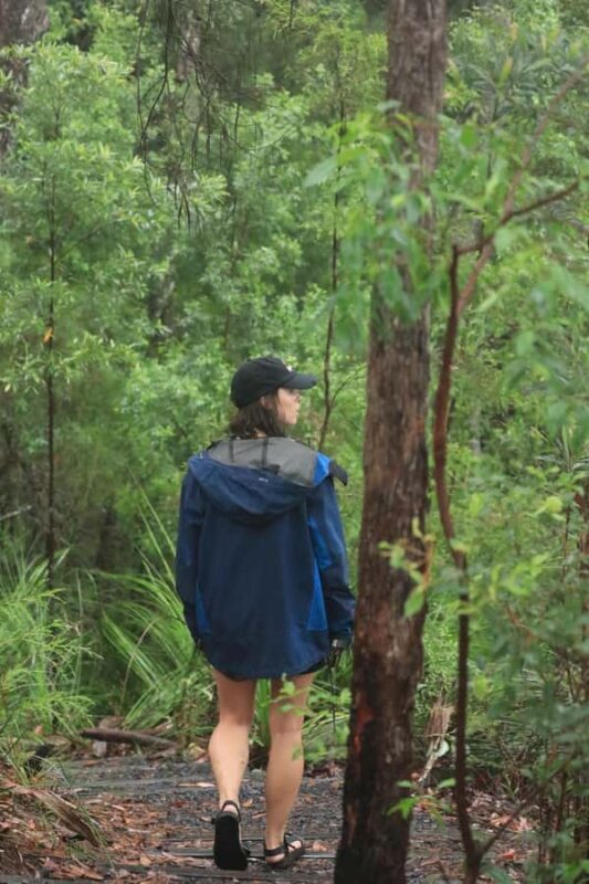 Minyon Waterfall Rainforest Tour - The Sum Up