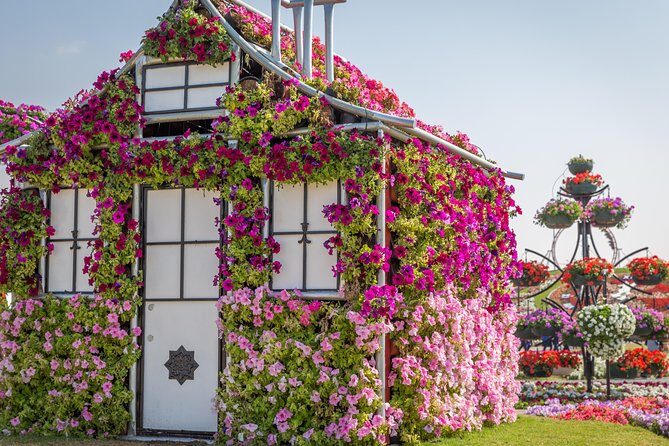 Miracle Garden In Dubai tickets with pickup drop option - What to Expect from the Tour