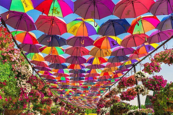 Miracle Garden In Dubai tickets with pickup drop option - The Sum Up