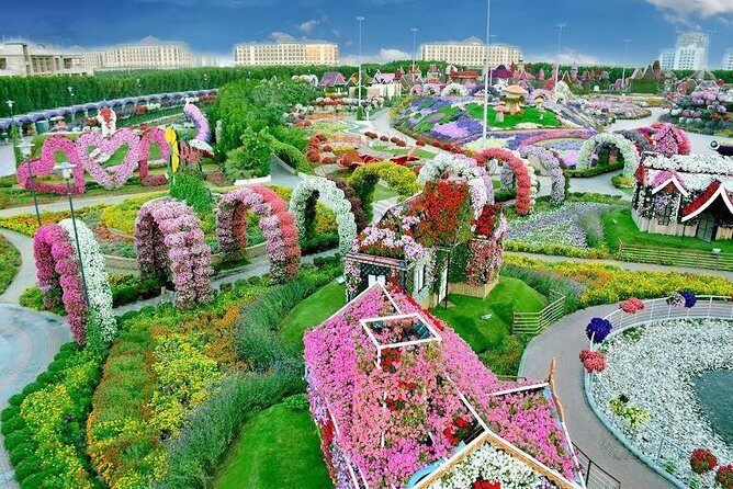 Miracle Garden Ticket Dubai with Shared Transfers - An In-depth Look at the Miracle Garden Tour