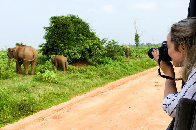 Mirissa to Ella Shuttle & Safari Drive (Breakfast included) - Authentic Experiences and Practical Insights