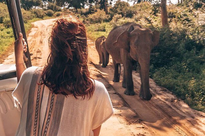 Mirissa to Ella Shuttle & Safari Drive (Breakfast included) - Final Thoughts: Is It Worth Your While?