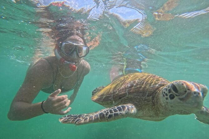 Mirissa Unforgettable Snorkeling Experience with Turtles - Discovering Mirissa’s Underwater Charm