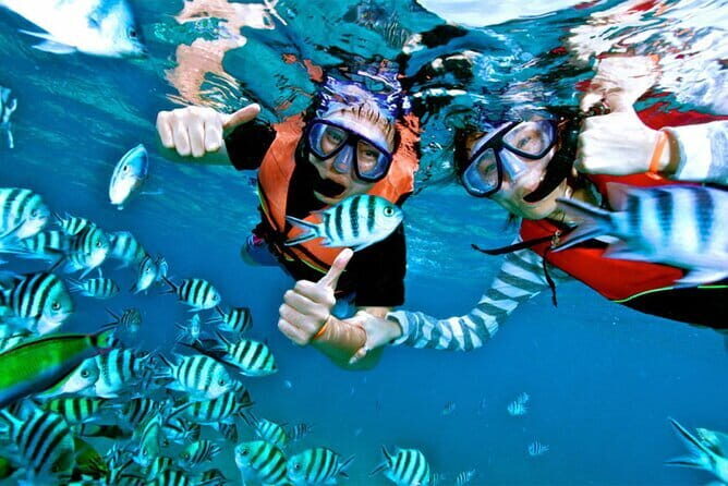 Mirissa Unforgettable Snorkeling Experience with Turtles - Who Should Consider This Experience