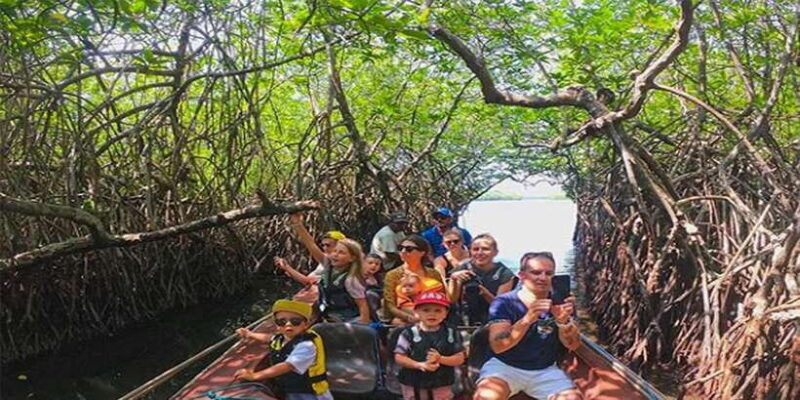Mirissa/Weligama/Galle: Galle & Bentota Coastal Day Tour - What to Expect from the Tour