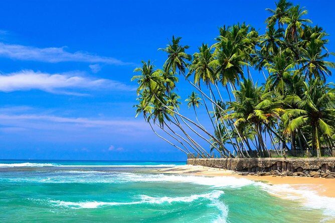 Mirissa/Weligama to Colombo Airport Private Taxi Transfer - Meeting Points and Logistics