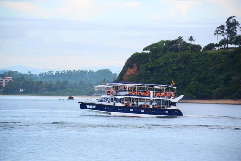 Mirissa: Whale Watching Tour - Key Points