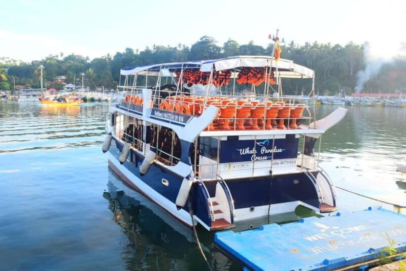 Mirissa: Whale Watching Tour - What to Expect on the Mirissa Whale Watching Tour