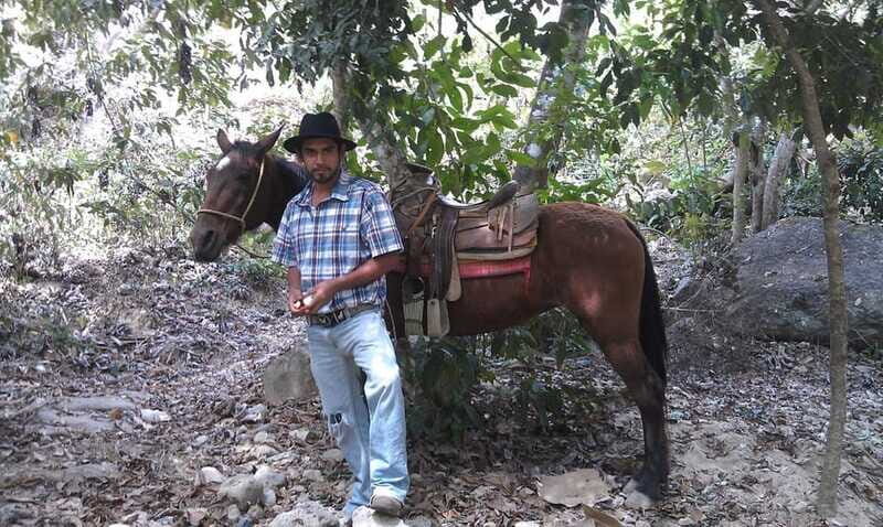 Mismaloya Jalisco: Rancho Manolo Horseback Tour - The Ride in Detail: What to Expect