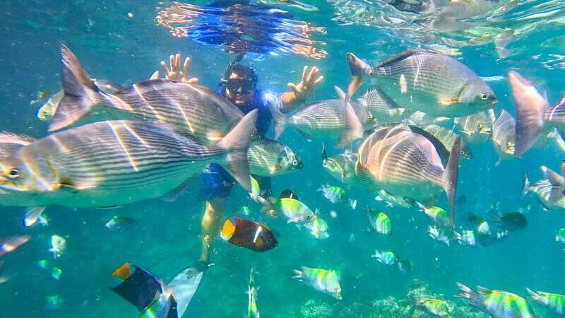 Mismaloya: Snorkeling, Cliff Jumping, and Beach Tour - An In-Depth Look at the Tour