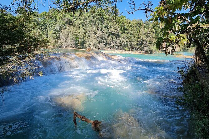 Misol Ha Blue Waterfalls and Palenque Archaeological Area - Authentic Experiences and Practical Tips