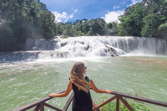 Misol Ha Blue Waterfalls and Palenque Archaeological Area - Who Is This Tour Best For?