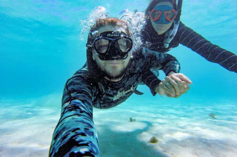 Mission Beach: Explore Dunk Island Day Tour - The Sum Up