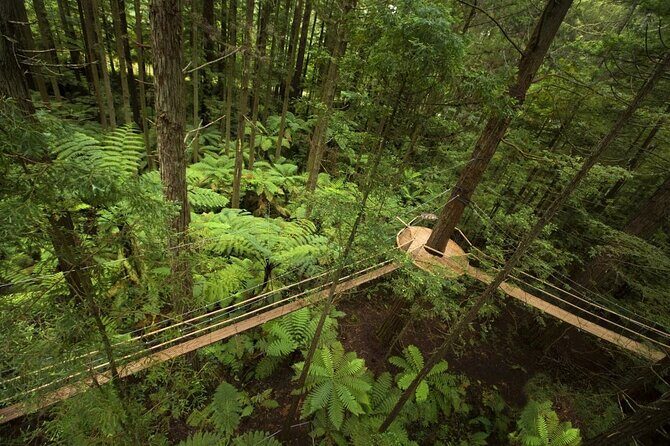 Mitai Maori Village,Waiotapu Thermal Wonderland& Redwood Treewalk - Practical Considerations and Value