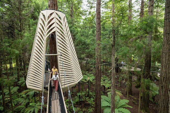 Mitai Maori Village,Waiotapu Thermal Wonderland& Redwood Treewalk - Final Thoughts