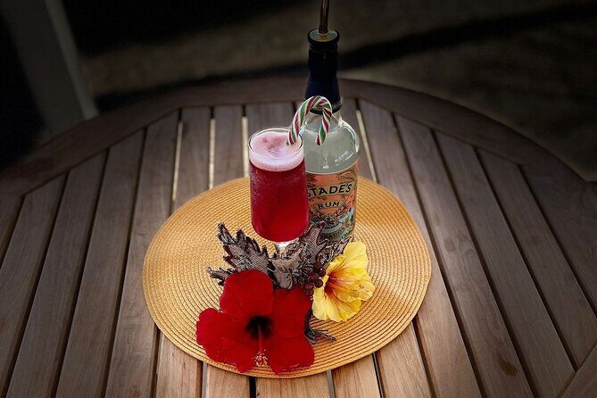 Mixology Class in Bridgetown 10 Minutes from Cruise Terminal - The Price and Value