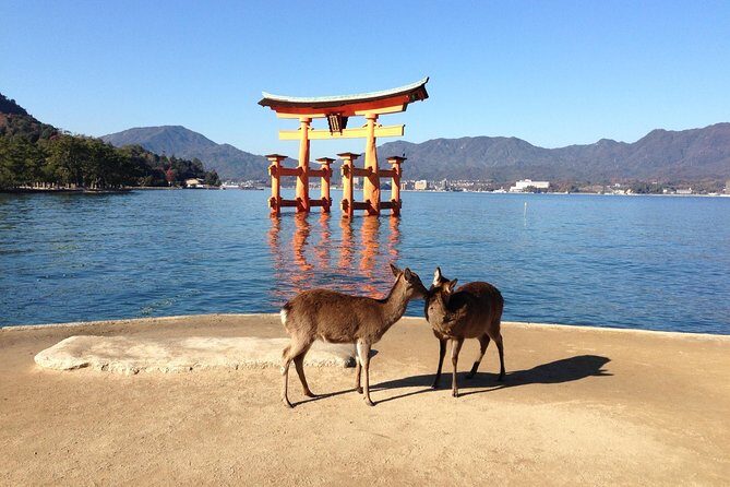 Miyajima full day tour - Exploring the Miyajima Full Day Tour: A Genuine Look