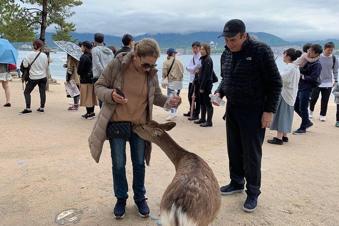 Miyajima Half-day Private Tour with Government Licensed Guide - A Deeper Dive Into the Miyajima Experience