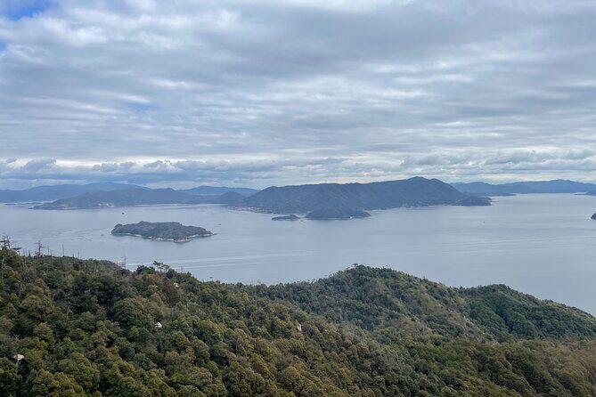 Miyajima Island Tour with Certified Local Guide - Who This Tour Is Perfect For