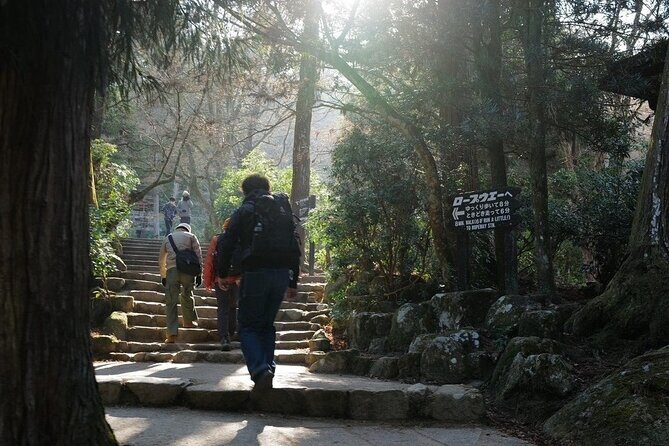 Miyajima Island Tour with Certified Local Guide - Price & Value: Is It Worth It?