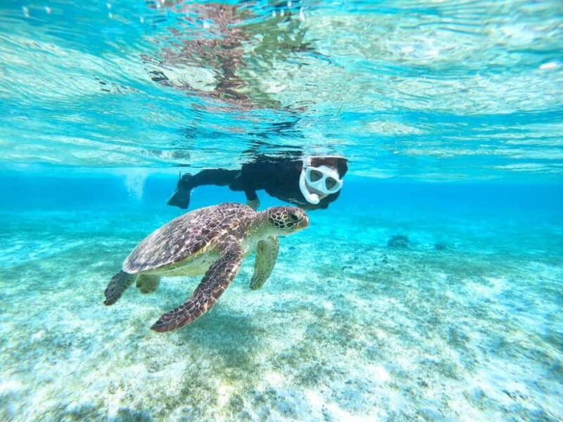 Miyako island: 3 sets! Snorkeling/Limestone Caving/Beach SUP - Exploring the Highlights in Detail