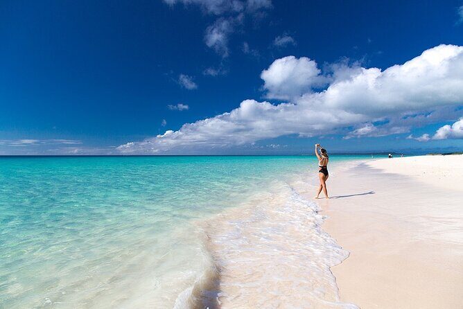 [Miyako Island / Full Day] Sea Turtle Snorkeling & SUP or Canoe - A Closer Look at the Experience