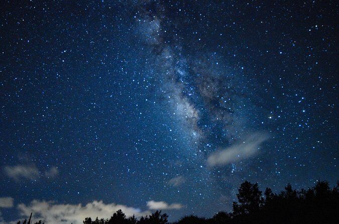 Miyako Island Jungle Night Tour and Starry Sky Viewing - The Value of This Tour